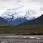 Denali National Park, Alaska, 8/2015