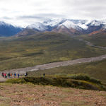 Denali National Park, Alaska, 8/2015