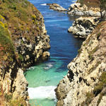 Bird Island Trail, Point Lobos State Natural Reserve, California, 6/2016