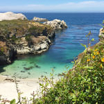 Bird Island Trail, Point Lobos State Natural Reserve, California, 6/2016