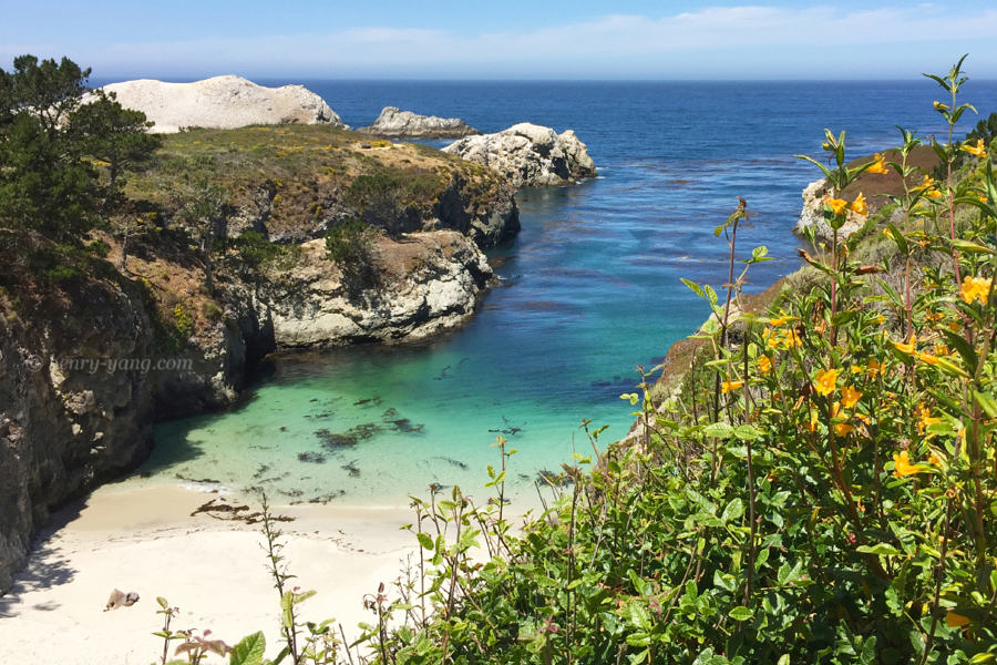China Cove, Point Lobos State Natural Reserve, California, 6/2016