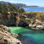 China Cove, Point Lobos State Natural Reserve, California, 6/2016