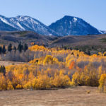Conway Summit, Eastern Sierra, California, 10/2011