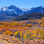 Conway Summit, Eastern Sierra, California, 10/2011