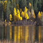 Gull Lake, June Lake Loop, Eastern Sierra, California, 10/2011