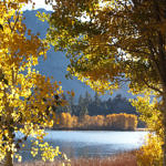 Gull Lake, June Lake Loop, Eastern Sierra, California, 10/2011