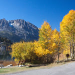 Gull Lake, June Lake Loop, Eastern Sierra, California, 10/2011