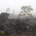 View on Chain of Craters Road, Hawai'i Volcanoes National Park, Hawaii, 1/2015