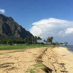 Kualoa Regional Park, Oahu, Hawaii, 12/2014