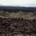 Volcano Landscape, Big Island, Hawaii, 1/2015
