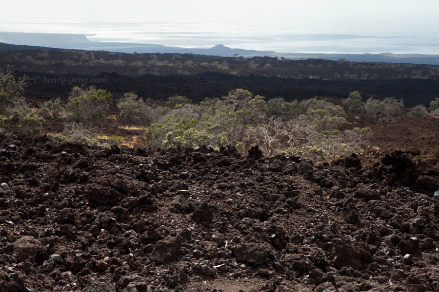 Volcano Landscape, Big Island, Hawaii, 1/2015