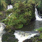Hanawi Falls, Road to Hana, Maui, Hawaii, 8/2016