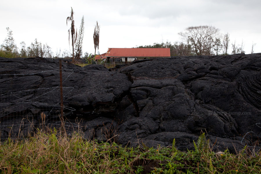 June 27th Lava Flow Frontier, Big Island, Hawaii, 1/2015