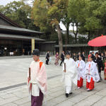 Meiji Shrine, Tokyo, Japan, 4/2016
