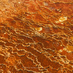 Mammoth Hot Springs, Yellowstone National Park, Wyoming, 9/2012