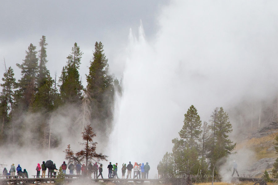Grand Geyser, Yellowstone National Park, Wyoming, 9/2012