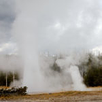Grotto Fountain Geyser, Yellowstone National Park, Wyoming, 9/2012