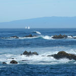 17-Mile Drive, Pebble Beach, California, 12/2005