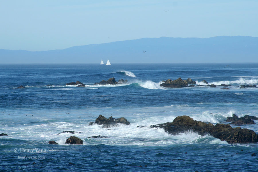 17-Mile Drive, Pebble Beach, California, 12/2005