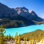 Peyto Lake, Banff National Park, Alberta, Canada  9/2011