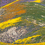 “God Spilled the Paint”, Carrizo Plain National Monument, California, 4/2017
