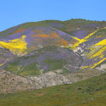 “God Spilled the Paint”, Carrizo Plain National Monument, California, 4/2017