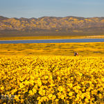 Sunset at Soda Lake, Carrizo Plain National Monument, California, 4/2017