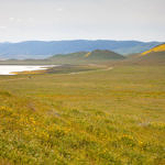 Overview, Carrizo Plain National Monument, California, 4/2017