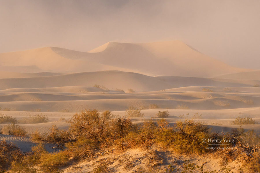 Sandstorm at Mesquite Flat Sand Dunes, Death Valley National Park, California, 12/2008