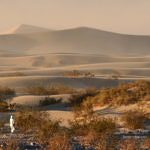 Sandstorm at Mesquite Flat Sand Dunes, Death Valley National Park, California, 12/2008