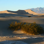 Mesquite Flat Sand Dunes, Death Valley National Park, California, 12/2008