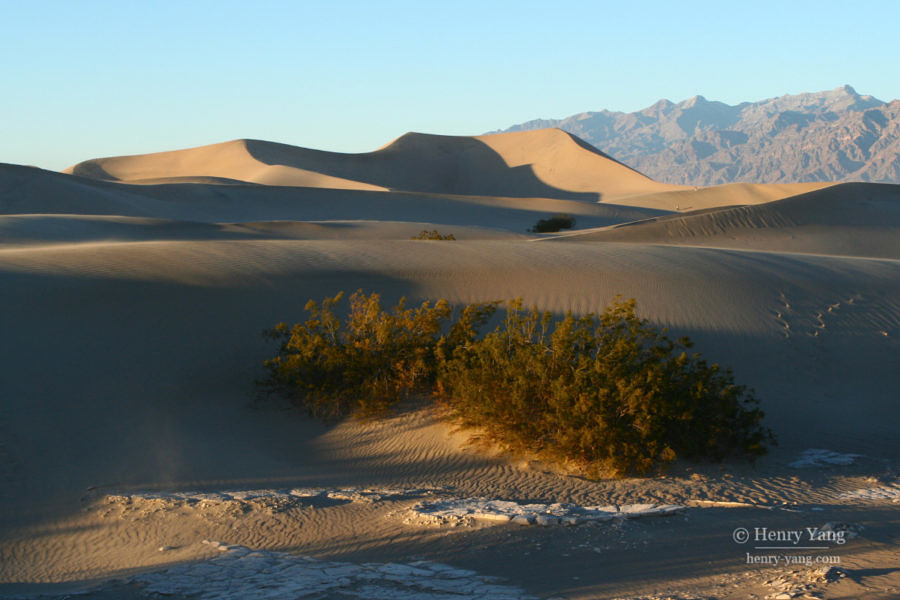 Mesquite Flat Sand Dunes, Death Valley National Park, California, 12/2008
