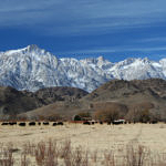 Mount Whitney, Eastern Sierra, California, 12/2008