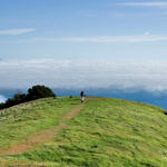 Mount Tamalpais State Park, California, 3/2007