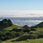 Mount Tamalpais State Park, California, 3/2007