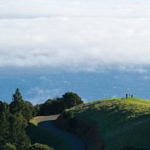 Mount Tamalpais State Park, California, 3/2007