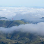 Mount Tamalpais State Park, California, 3/2007