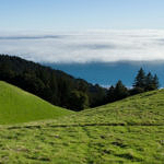 Mount Tamalpais State Park, California, 3/2007