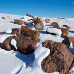 Petrified Trees, Petrified Forest National Park, Arizona, 2/2008