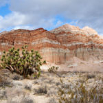 Red Rock Canyon State Park, California, 12/2008