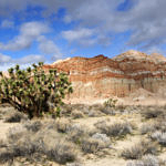 Red Rock Canyon State Park, California, 12/2008