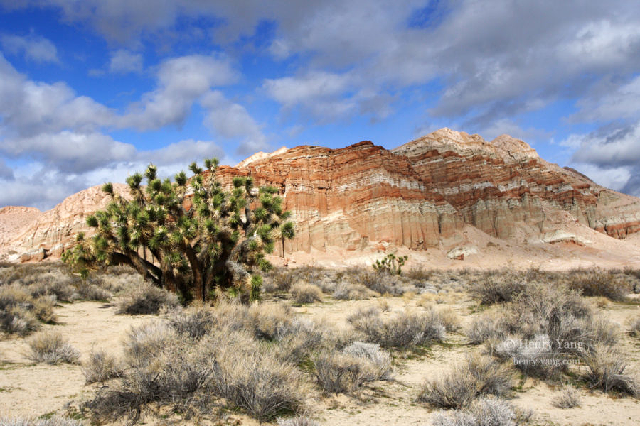 Red Rock Canyon State Park, California, 12/2008