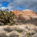 Red Rock Canyon State Park, California, 12/2008