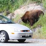 Sequoia National Park, California, 5/2007