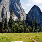 Meadow, Yosemite National Park, California, 6/2004