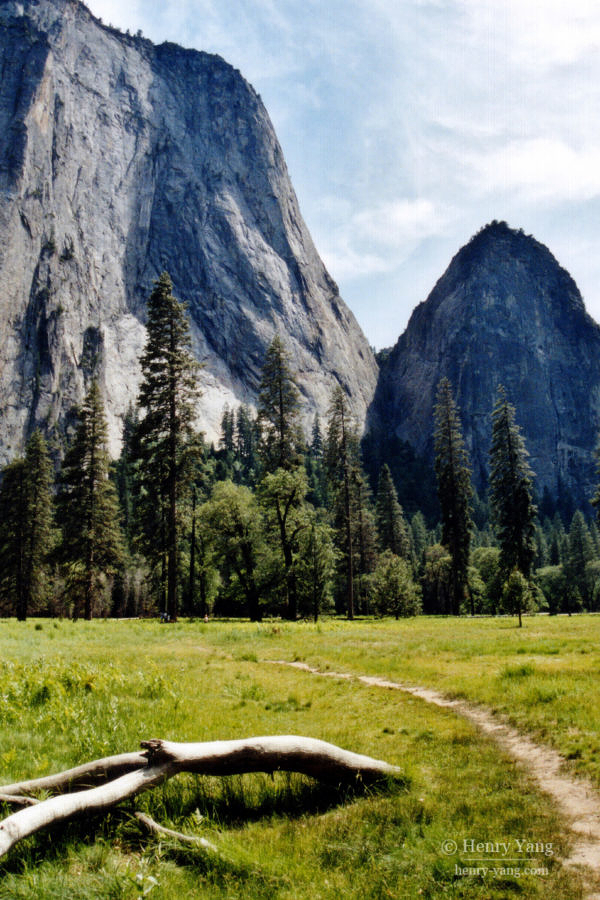 Meadow, Yosemite National Park, California, 6/2004