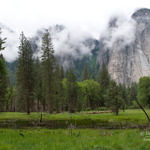 Yosemite National Park, California, 5/2008