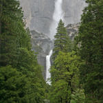 Yosemite Falls, Yosemite National Park, California, 5/2008