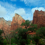 Zion National Park, Utah, 8/2008