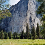 Yosemite National Park, California, 6/2004